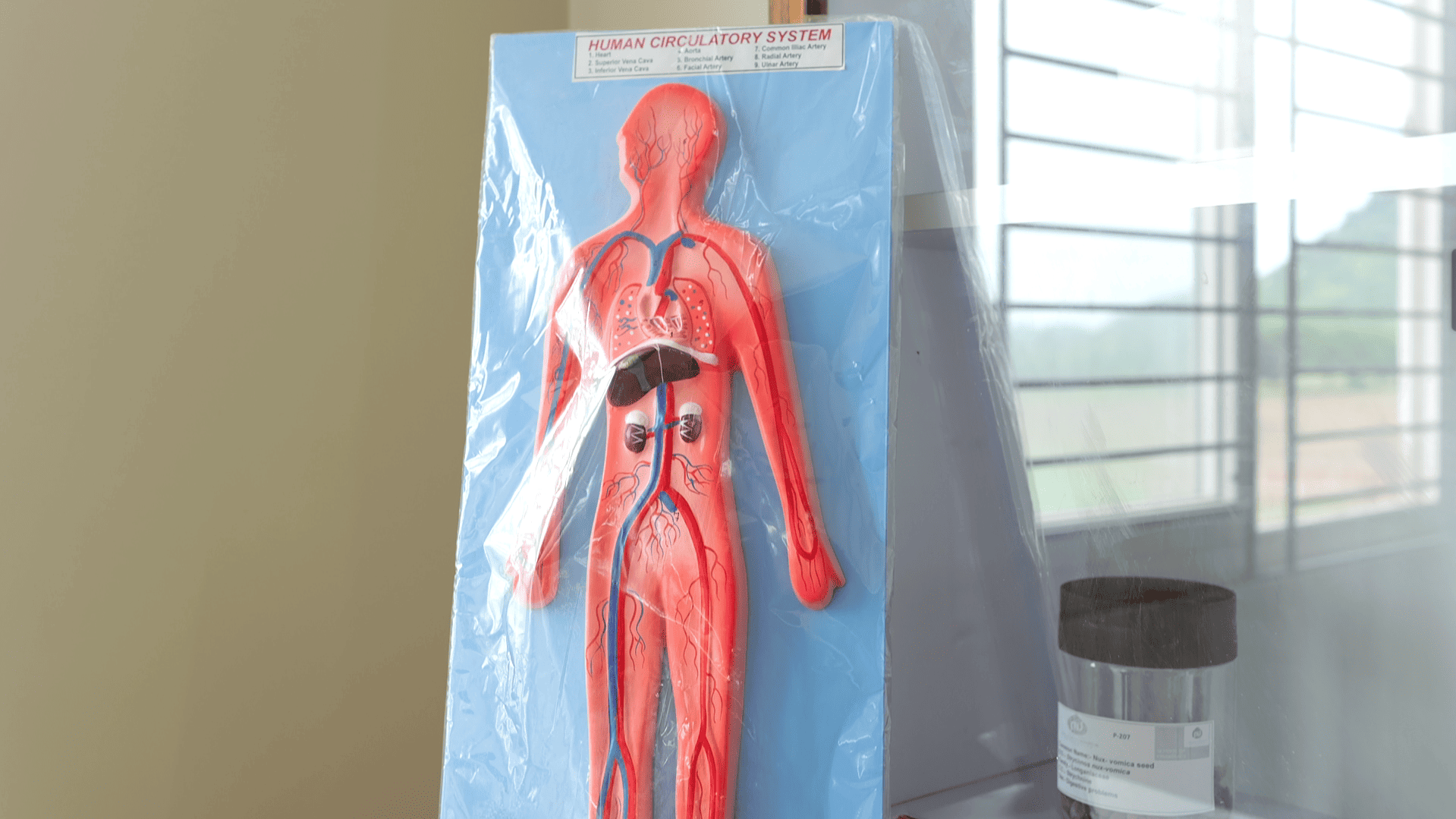 Pragjyotishpur University Guwahati Museum photo 4